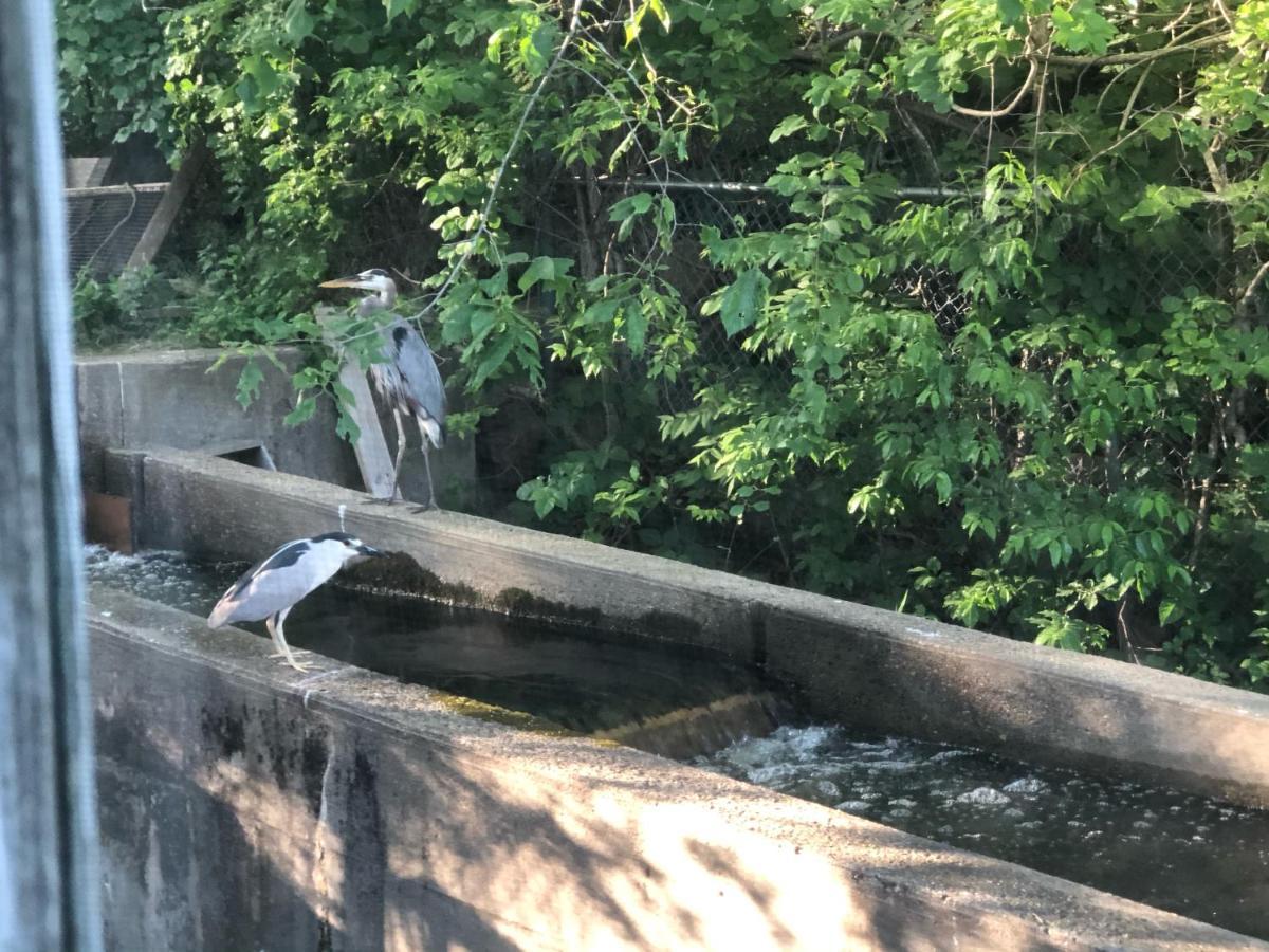 Herring Run ボーン エクステリア 写真