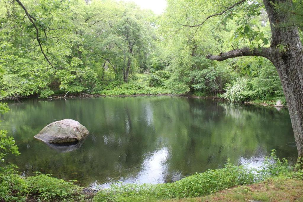Herring Run ボーン エクステリア 写真