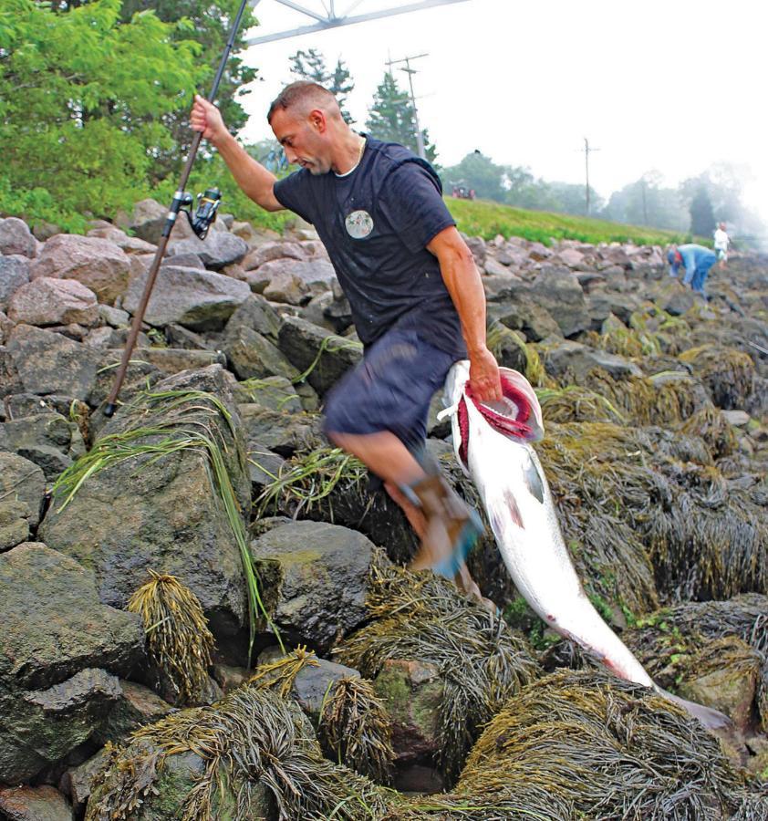 Herring Run ボーン エクステリア 写真