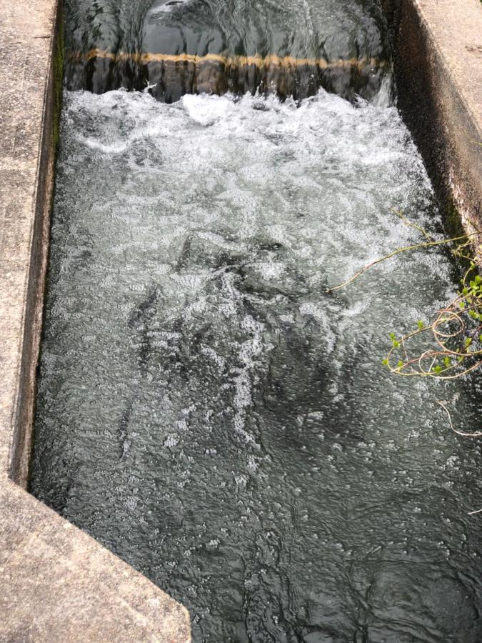 Herring Run ボーン エクステリア 写真